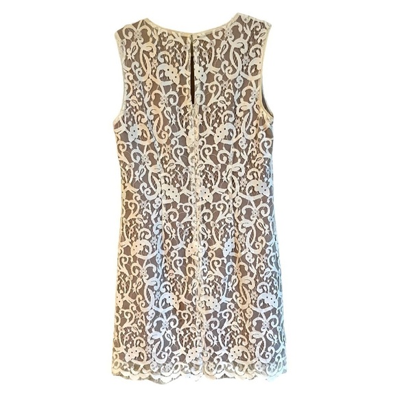 LOFT, CREAM COLOR, LACE MINI DRESS. TAUPE COLOR UNDERLAY. SIZE 10 - Picture 6 of 9